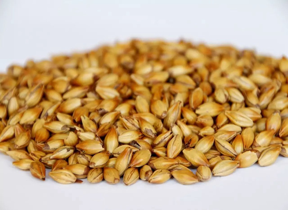 <b>TIANTAI brewery equipment tell you how to configure your beer machine  - What are the characteristics</b>